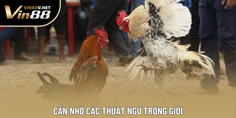 Cần nhớ các thuật ngữ trong giới Cần nhớ các thuật ngữ trong giới