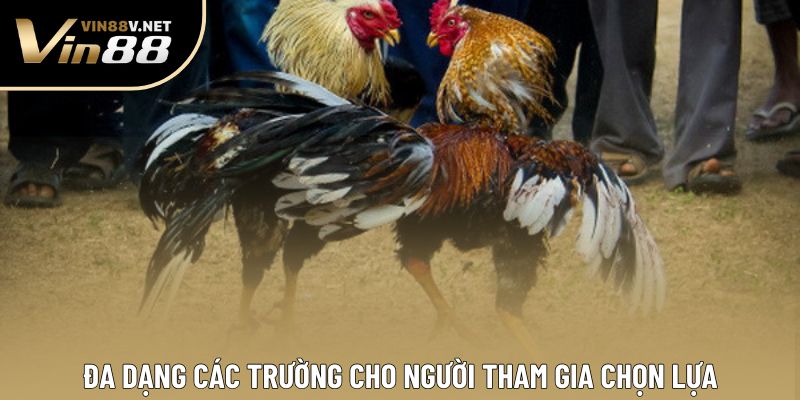 Đa dạng các trường cho người tham gia chọn lựa Đa dạng các trường cho người tham gia chọn lựa