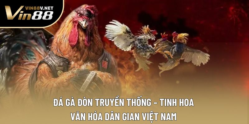Đá Gà Đòn Truyền Thống – Tinh Hoa Văn Hóa Dân Gian Việt Nam