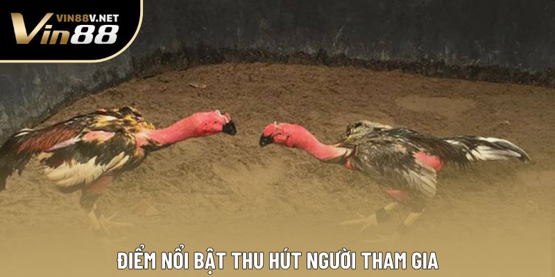 Điểm nổi bật thu hút người tham gia Điểm nổi bật thu hút người tham gia