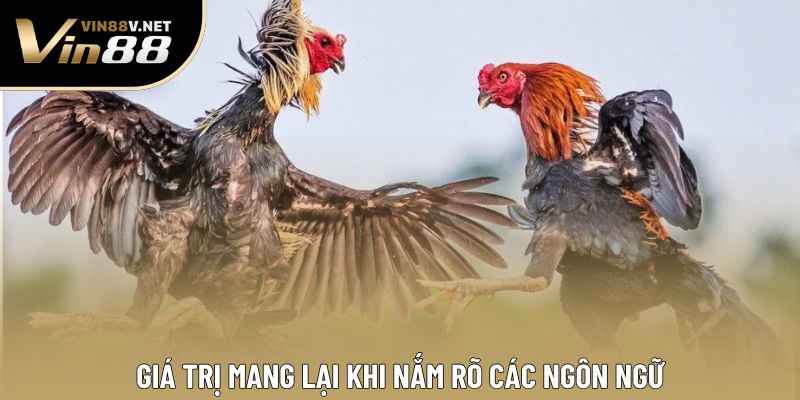 Giá trị mang lại khi nắm rõ các ngôn ngữ Giá trị mang lại khi nắm rõ các ngôn ngữ